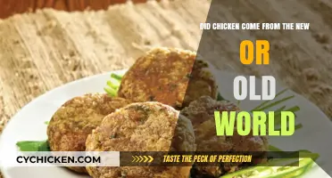 The Origin of Chicken: Old or New World?
