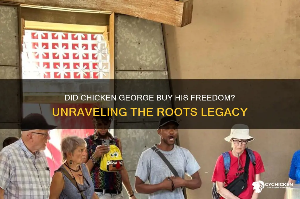 did chicken george buy his freedom