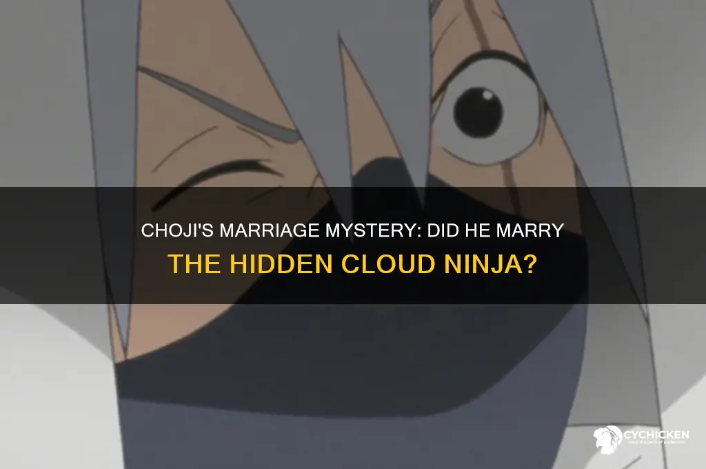 did choji marry the hidden cloud chick