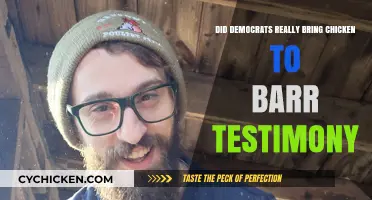 Chicken at Barr's Testimony: Democrats' Stunt or Symbolic Protest?