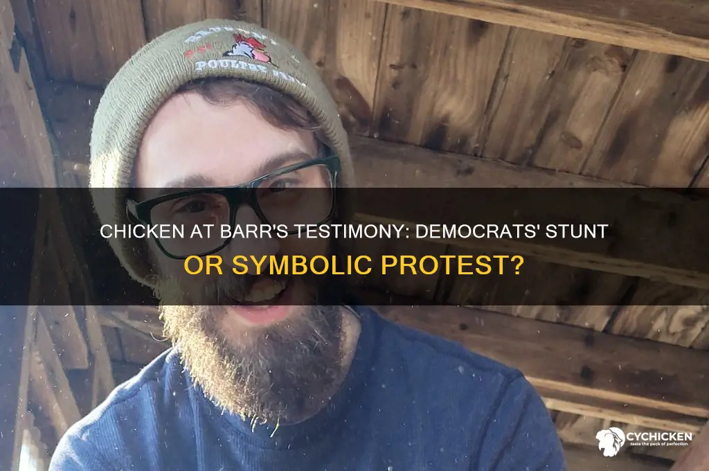did democrats really bring chicken to barr testimony