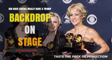 Dixie Chicks' Trump Backdrop: Intentional or Coincidence?