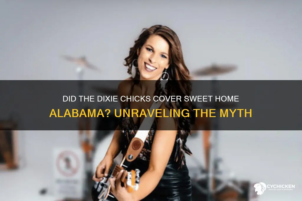 did dixie chicks sing in sweet home alabama