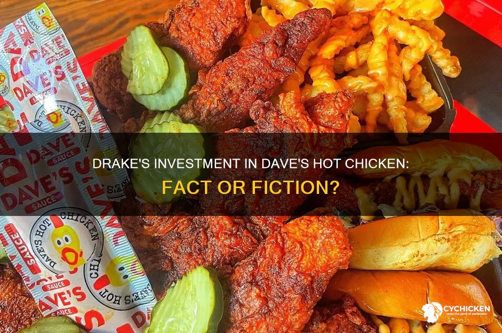 did drake invest in dave
