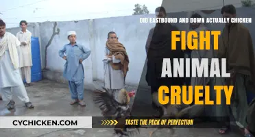 Eastbound and Down: Animal Cruelty or Creative License?