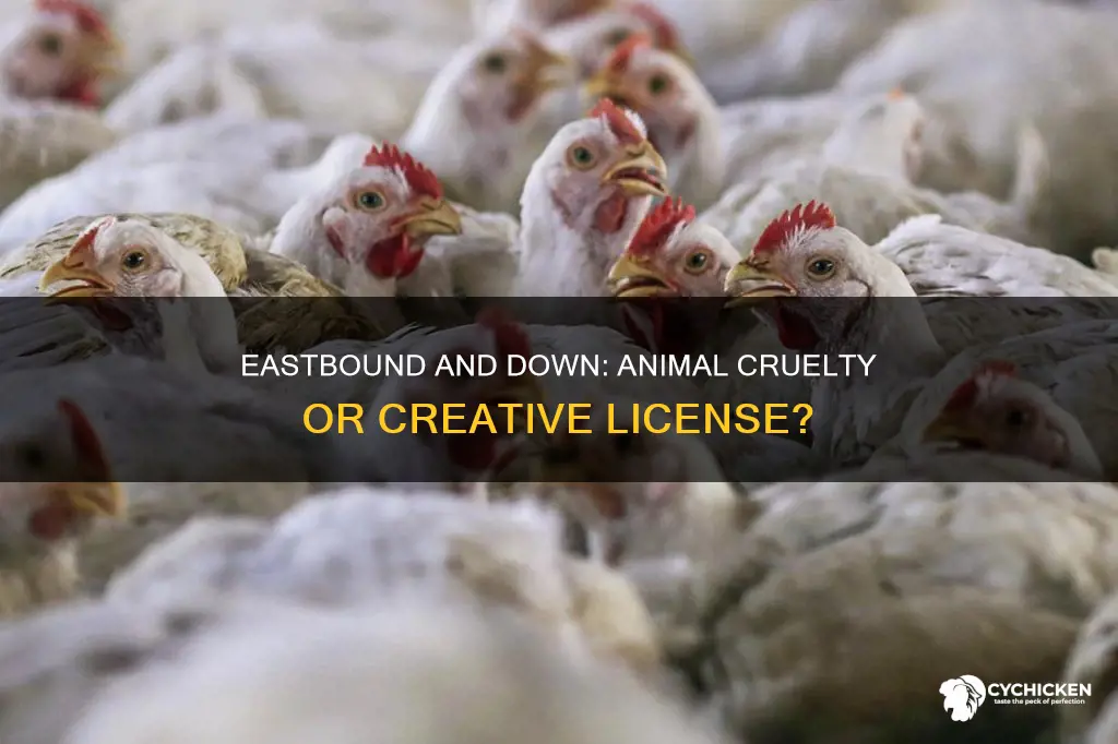 did eastbound and down actually chicken fight animal cruelty