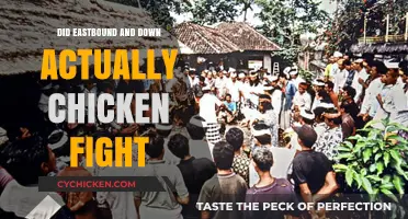 Eastbound & Down's Iconic Chicken Fight Scene: Fact or Fiction?