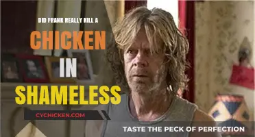 Shameless Truth: Did Frank Gallagher Really Kill a Chicken?