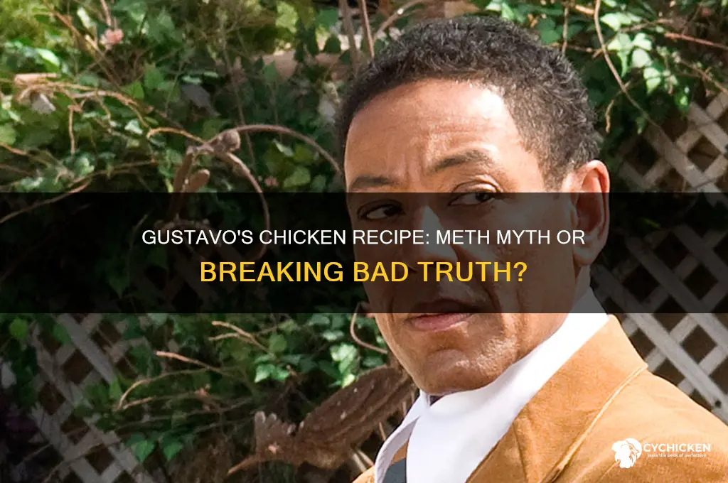 did gustavo put meth in his chicken