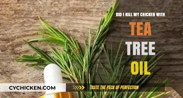 How I Accidentally Poisoned My Chicken With Tea Tree Oil
