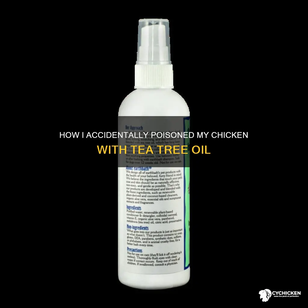 did i kill my chicken with tea tree oil