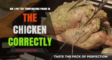 How to Correctly Place a Temperature Probe in Chicken
