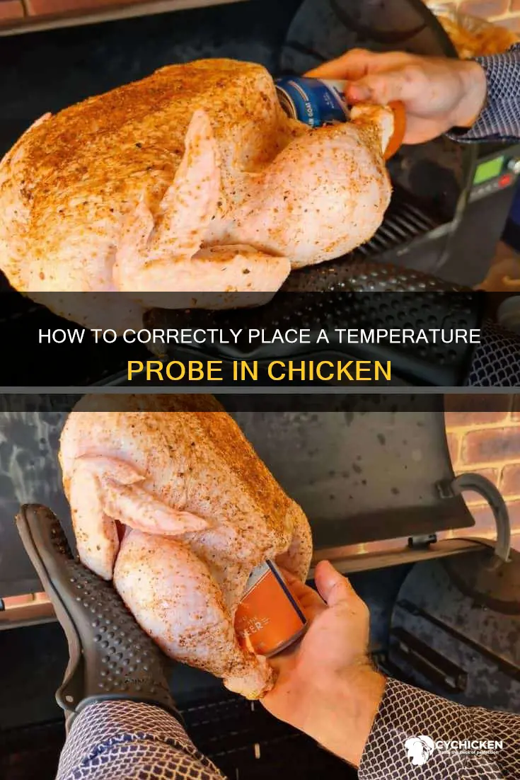 did i put the temperature probe in the chicken correctly