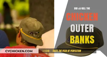 Outer Banks Mystery: Did JJ Really Kill the Chicken?