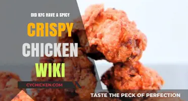 KFC's Spicy Crispy Chicken: History, Wiki Facts, and Fiery Details