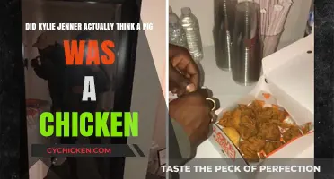 Kylie Jenner's Misconception: Pig or Chicken?