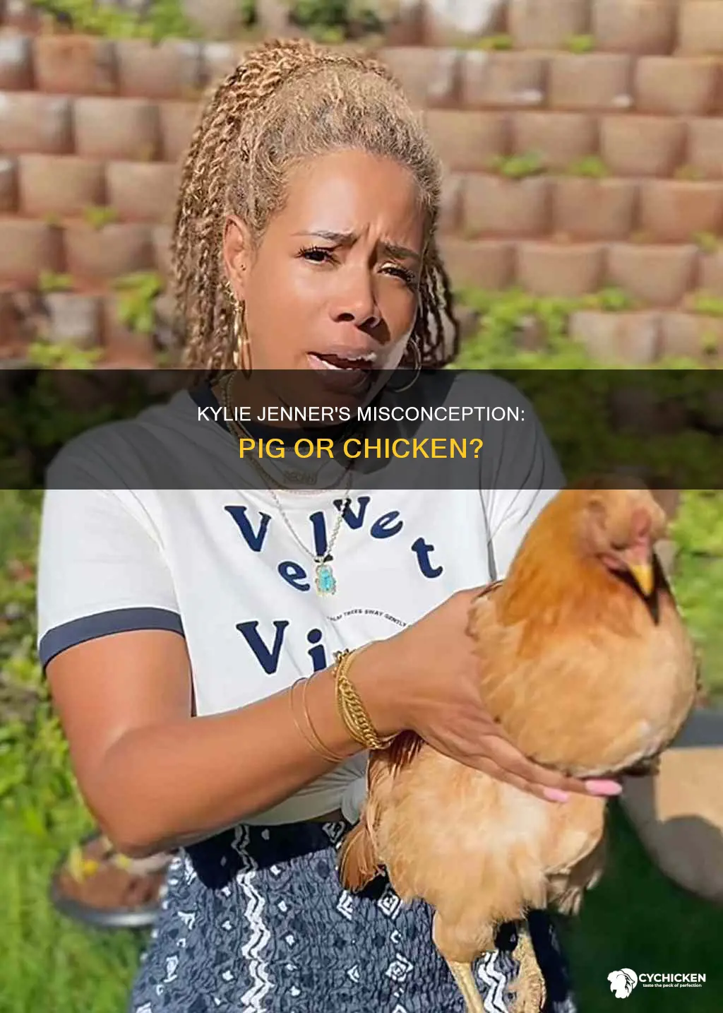 did kylie jenner actually think a pig was a chicken