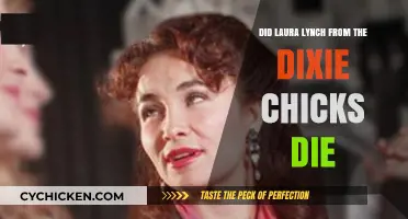 Laura Lynch's Fate: Unraveling the Dixie Chicks' Tragic Mystery