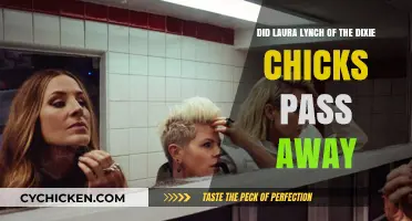 Laura Lynch of Dixie Chicks: Death Hoax Debunked