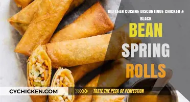 Lean Cuisine Discontinues Chicken & Black Bean Spring Rolls