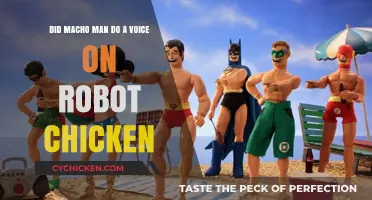 Macho Man's Voice Role in Robot Chicken