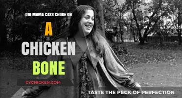 Mama Cass' Tragic Death: The Truth About the Chicken Bone Myth
