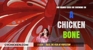The Truth About Mama Cass' Untimely Demise