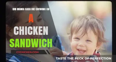 Mama Cass' Tragic Death: Unraveling the Chicken Sandwich Myth