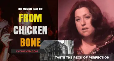 Mamma Cass' Tragic Death: The Truth About the Chicken Bone Myth