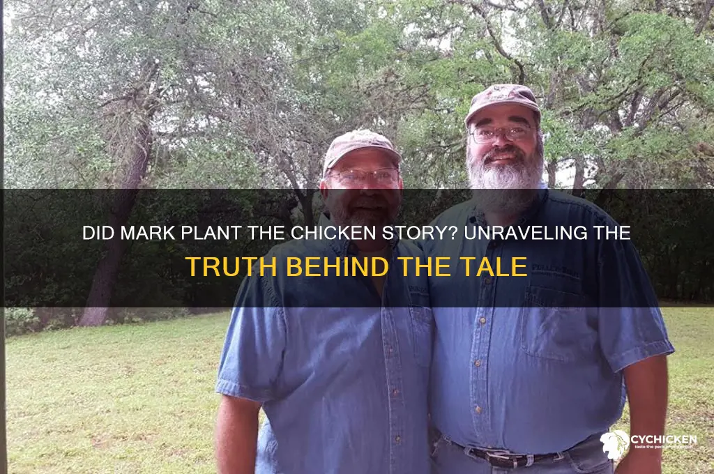 did mark plant the story about the chicken
