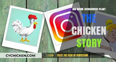 Did Mark Zuckerberg Plant the Chicken Story? Unraveling the Truth