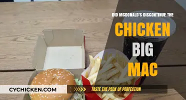 Is the Chicken Big Mac Gone? McDonald's Menu Update Explained