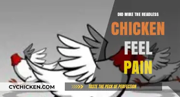 Mike the Headless Chicken: Pain Perception After Decapitation Explored