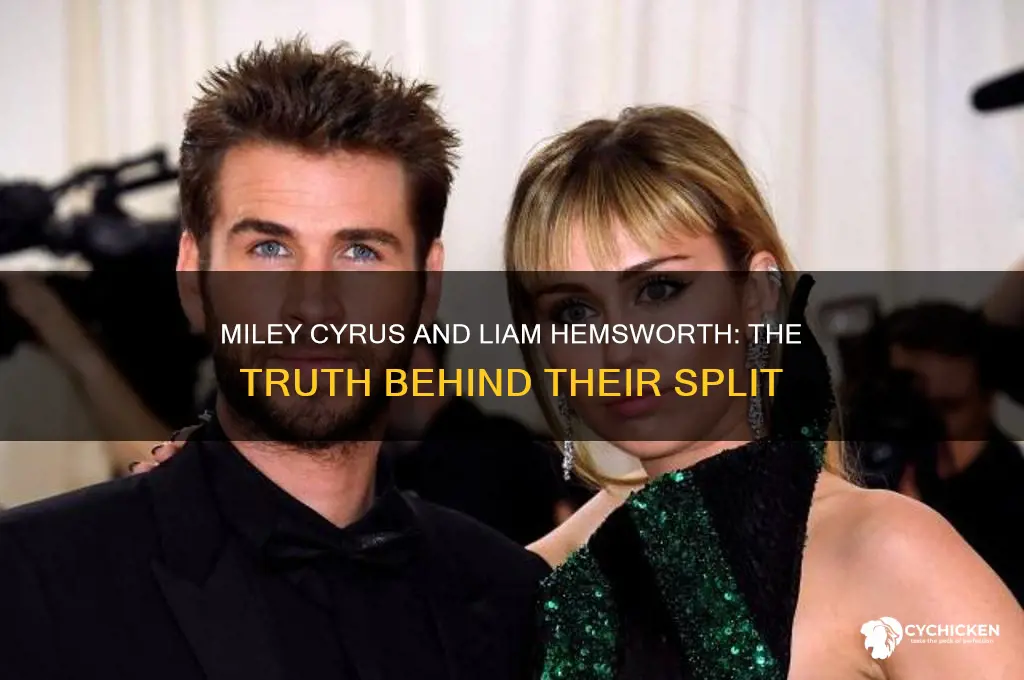 did miley leave liam for a chick