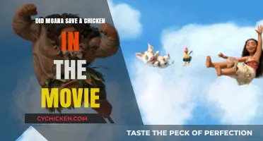 Moana's Chicken Rescue: Fact or Fiction in the Disney Movie?