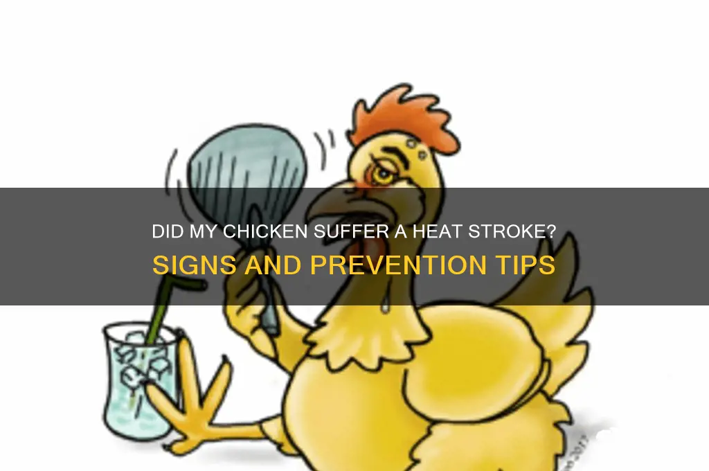 did my chicken have a heat stroke
