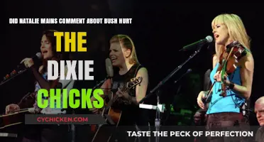 Natalie Maines' Bush Comment: Dixie Chicks' Career-Defining Moment?