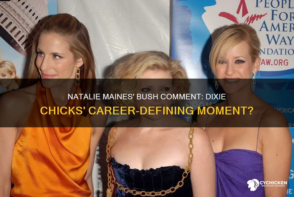 did natalie mains comment about bush hurt the dixie chicks