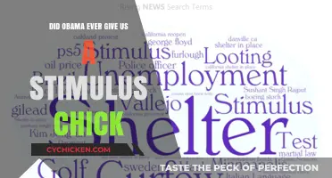Obama's Stimulus Checks: Fact-Checking the Economic Recovery Efforts
