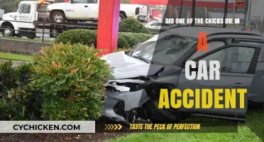 Tragic Accident: Chick's Life Cut Short