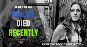 Dixie Chicks Death Rumors: Separating Fact from Fiction