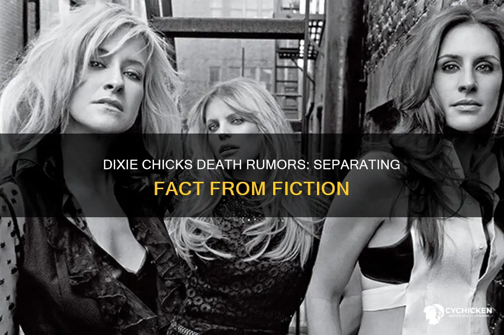 did one of the dixie chicks died recently