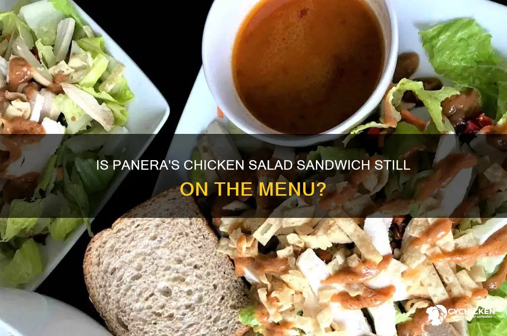 did panera discontinue chicken salad sandwich