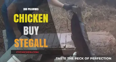 Did Pilgrims Chicken Acquire Stegall? Unraveling the Business Deal Mystery