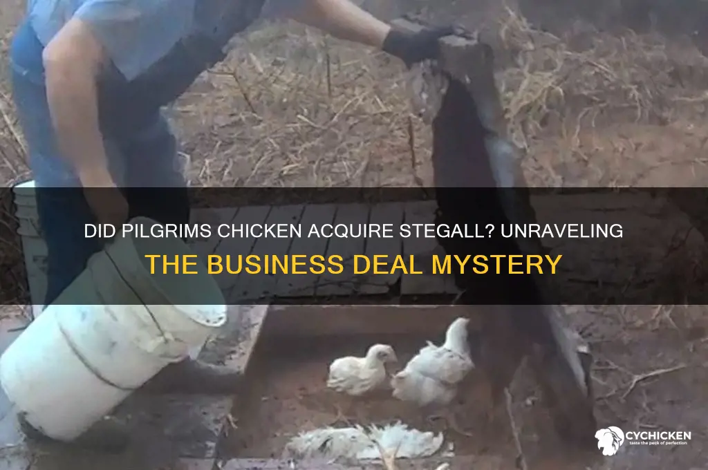did pilgrims chicken buy stegall
