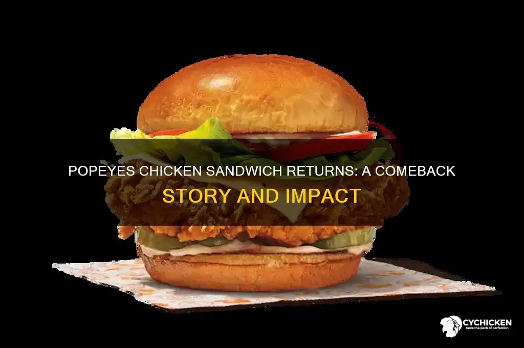 did popeyes bring the chicken sandwich back