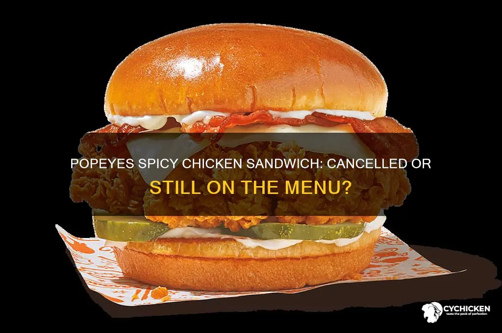 did popeyes cancle the spicy chicken sandwich
