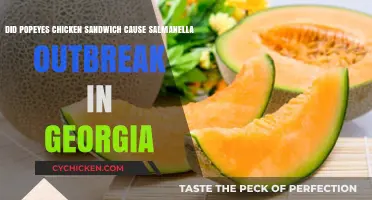 Popeyes Chicken Sandwich Linked to Georgia Salmonella Outbreak?