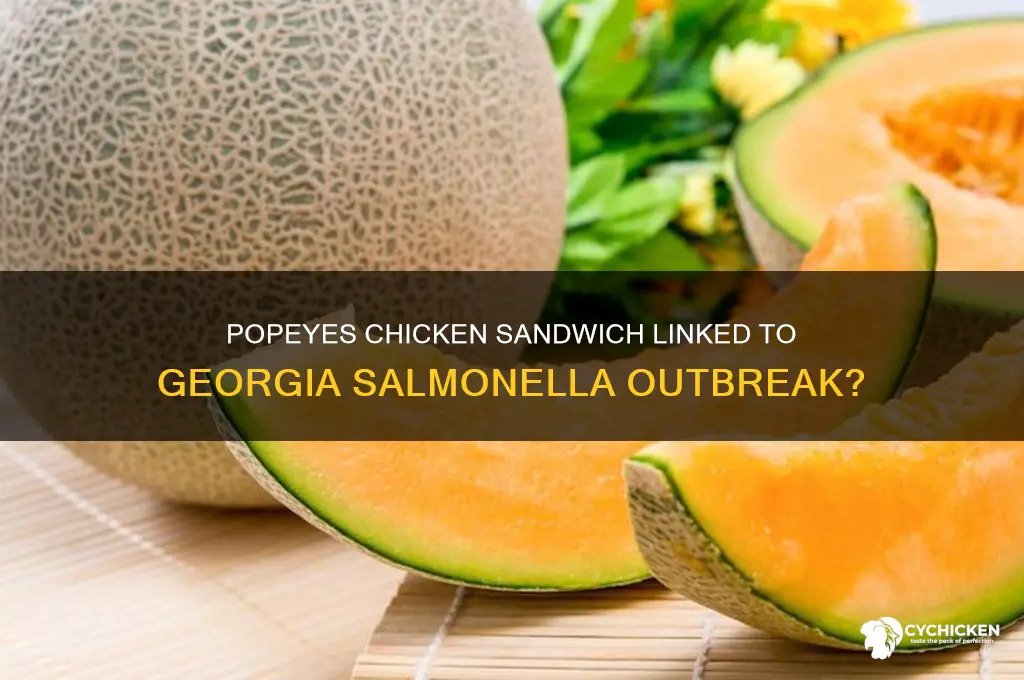 did popeyes chicken sandwich cause salmanella outbreak in georgia