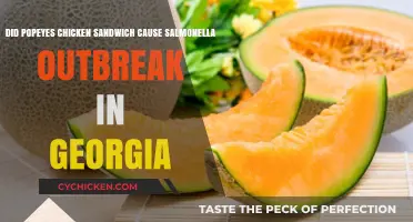 Popeyes Chicken Sandwich Linked to Georgia Salmonella Outbreak?
